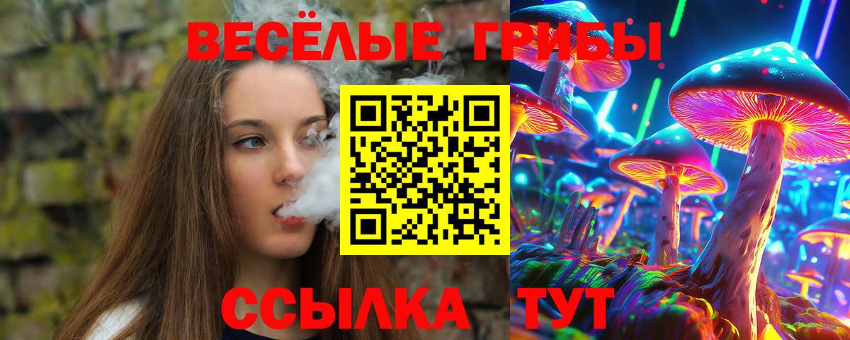 Псилоцибиновые грибы Psilocybe  Вход с VPN  где найти   Галлюциногенные грибы мухоморы  Трёхгорный 