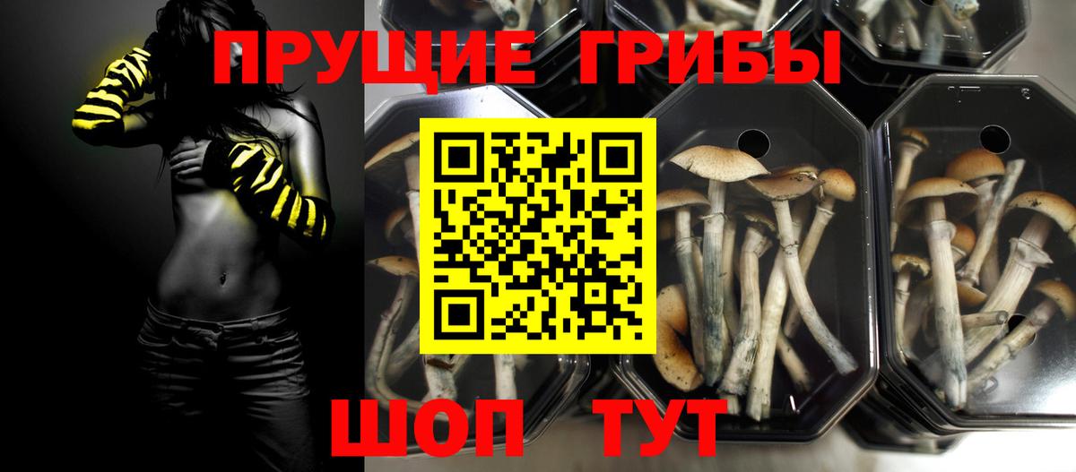 Галлюциногенные грибы Magic Shrooms Трёхгорный